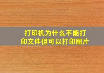 打印机为什么不能打印文件但可以打印图片