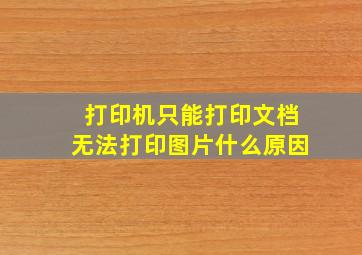 打印机只能打印文档无法打印图片什么原因