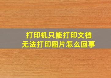 打印机只能打印文档无法打印图片怎么回事