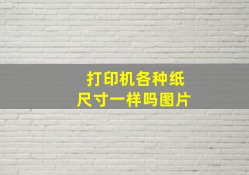 打印机各种纸尺寸一样吗图片