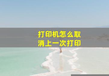 打印机怎么取消上一次打印