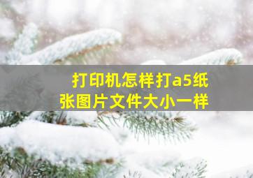 打印机怎样打a5纸张图片文件大小一样