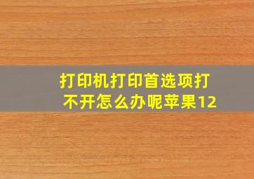 打印机打印首选项打不开怎么办呢苹果12