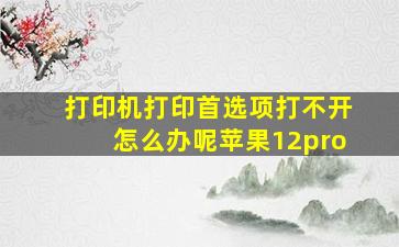 打印机打印首选项打不开怎么办呢苹果12pro