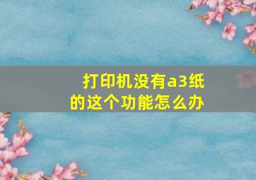 打印机没有a3纸的这个功能怎么办