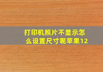 打印机照片不显示怎么设置尺寸呢苹果12