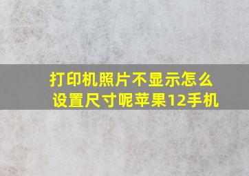 打印机照片不显示怎么设置尺寸呢苹果12手机