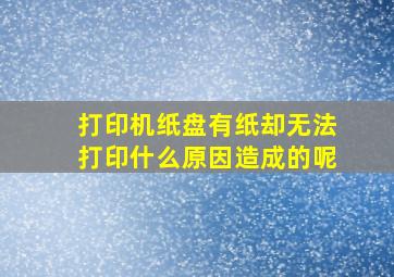 打印机纸盘有纸却无法打印什么原因造成的呢