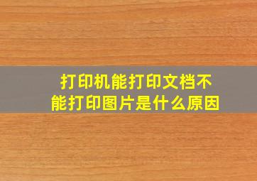 打印机能打印文档不能打印图片是什么原因