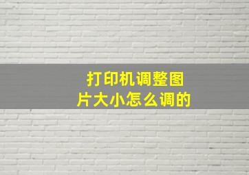 打印机调整图片大小怎么调的