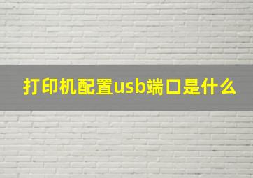 打印机配置usb端口是什么