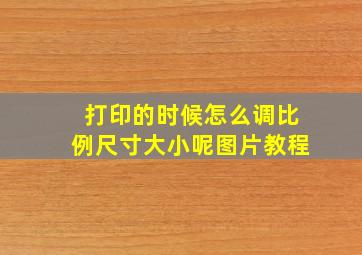 打印的时候怎么调比例尺寸大小呢图片教程