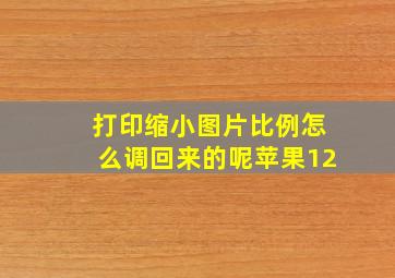 打印缩小图片比例怎么调回来的呢苹果12