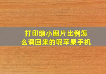 打印缩小图片比例怎么调回来的呢苹果手机