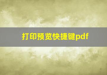 打印预览快捷键pdf