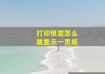 打印预览怎么就显示一页纸