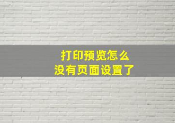 打印预览怎么没有页面设置了