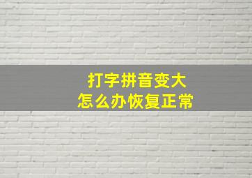 打字拼音变大怎么办恢复正常