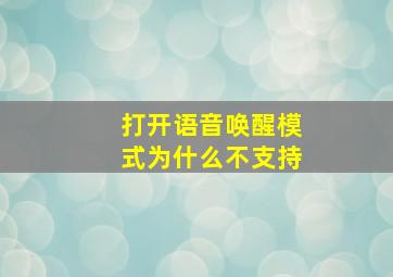 打开语音唤醒模式为什么不支持