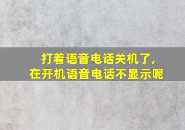 打着语音电话关机了,在开机语音电话不显示呢