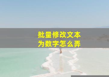 批量修改文本为数字怎么弄