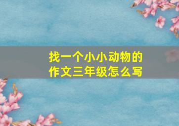 找一个小小动物的作文三年级怎么写