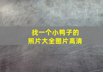 找一个小鸭子的照片大全图片高清