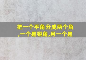 把一个平角分成两个角,一个是锐角,另一个是