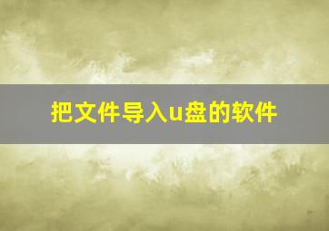 把文件导入u盘的软件