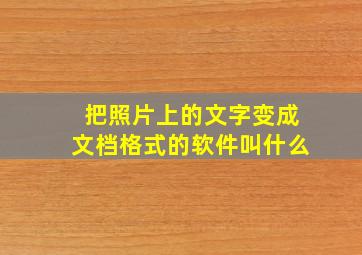 把照片上的文字变成文档格式的软件叫什么