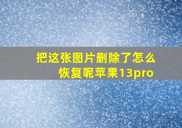 把这张图片删除了怎么恢复呢苹果13pro