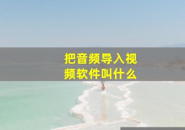 把音频导入视频软件叫什么