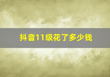 抖音11级花了多少钱