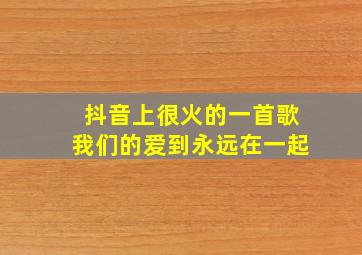 抖音上很火的一首歌我们的爱到永远在一起