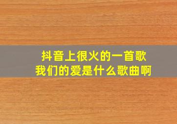 抖音上很火的一首歌我们的爱是什么歌曲啊