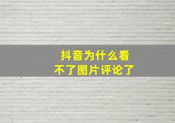 抖音为什么看不了图片评论了