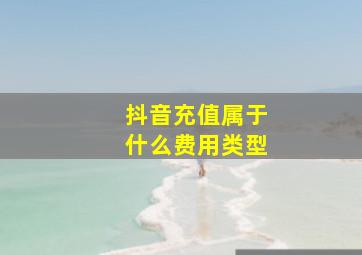 抖音充值属于什么费用类型