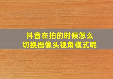 抖音在拍的时候怎么切换摄像头视角模式呢