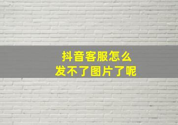 抖音客服怎么发不了图片了呢