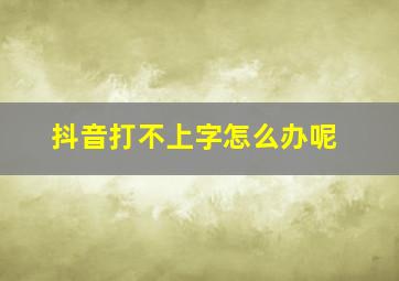 抖音打不上字怎么办呢