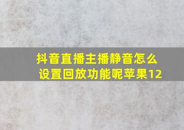 抖音直播主播静音怎么设置回放功能呢苹果12