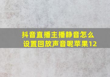 抖音直播主播静音怎么设置回放声音呢苹果12