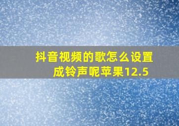 抖音视频的歌怎么设置成铃声呢苹果12.5