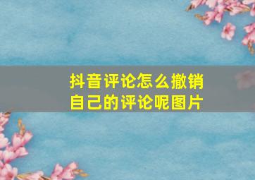 抖音评论怎么撤销自己的评论呢图片