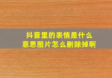 抖音里的表情是什么意思图片怎么删除掉啊