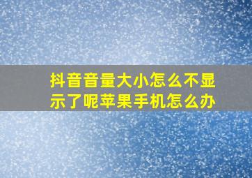 抖音音量大小怎么不显示了呢苹果手机怎么办