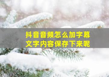 抖音音频怎么加字幕文字内容保存下来呢