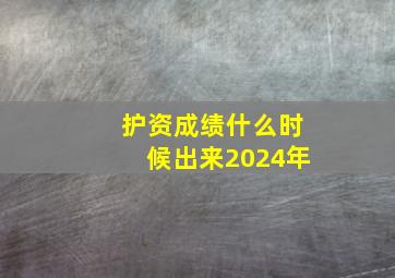 护资成绩什么时候出来2024年