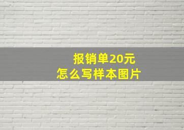 报销单20元怎么写样本图片