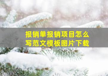 报销单报销项目怎么写范文模板图片下载